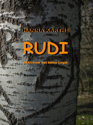 cover image of RUDI
